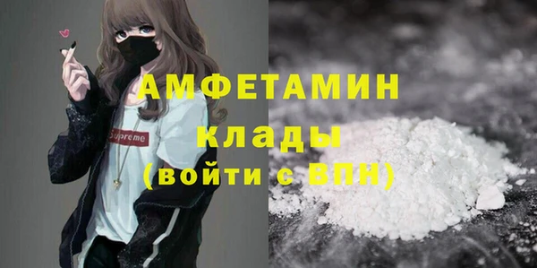 дмт Бородино