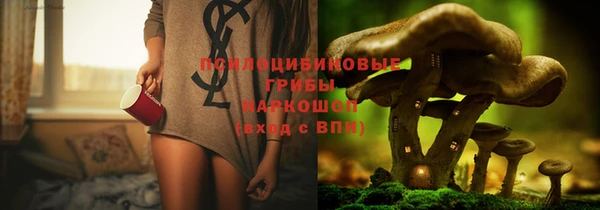 дмт Бородино