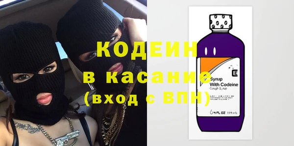 дмт Бородино