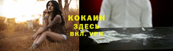 дживик Бронницы