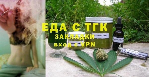 дмт Бородино