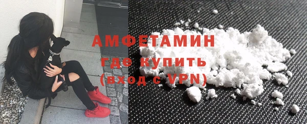 дживик Бронницы