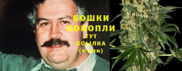 дживик Бронницы