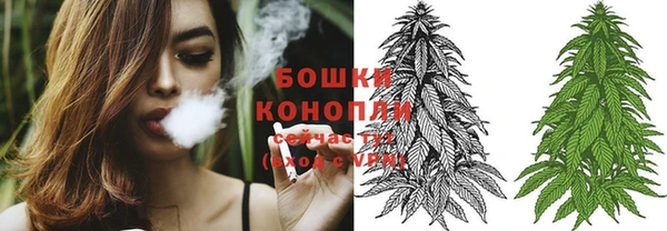 дмт Бородино