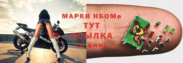 дмт Бородино