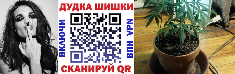Канабис SATIVA & INDICA  мориарти клад  Вуктыл  цены   hydra ТОР 